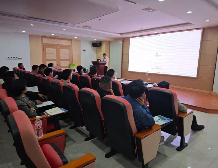 科技革新，引领未来！2025英斯特S301重磅推出